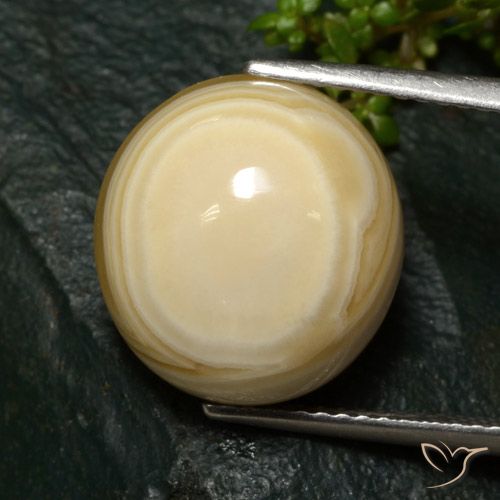 12.37ct Natural Multicolor Agate, Oval, Opaque