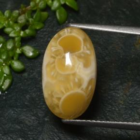 6.57 ct Multicolor Agate Gemstone, Agate Gem in Oval Cabochon Shape for Sale.