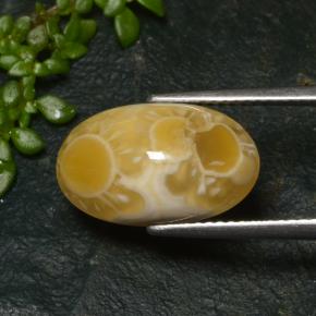 6.57 ct Multicolor Agate Stone, Natural Agate in Oval Cabochon Shape for Sale