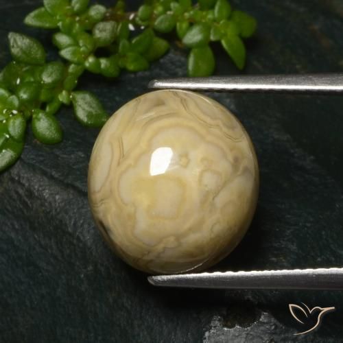 11.32 ct Multicolor Agate Gemstone, Agate Gem in Oval Cabochon Shape for Sale.