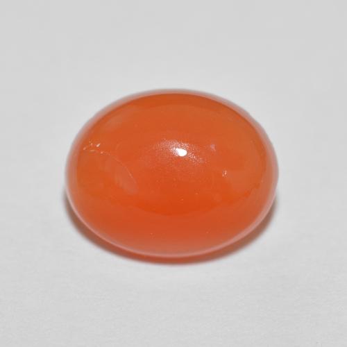 Bright Orange Agate Gem - 1.7ct Oval Cabochon (ID: 621055)