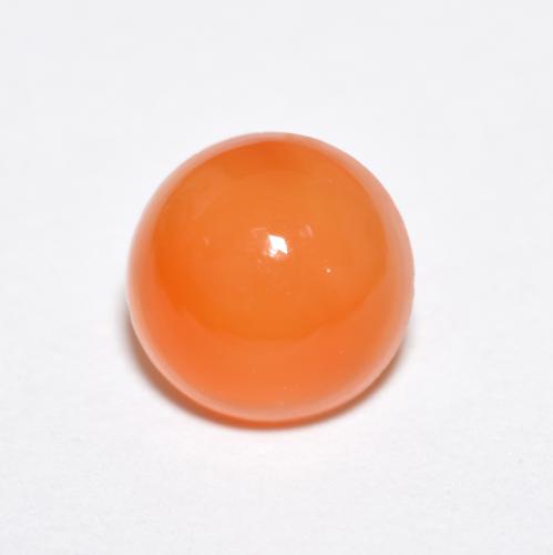 Orange jaunâtre Agate gemme - 1.2ct Cabochon rond (ID: 621226)