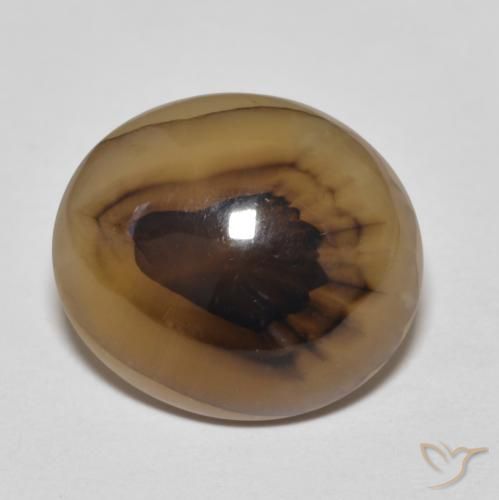 9.50ct Natural Multicolor Agate, Oval, Translucent