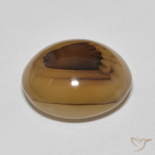 Agate Gemstone in 14 x 12 mm (calibrated) Size for Sale, Agate Stone in Multicolor Color