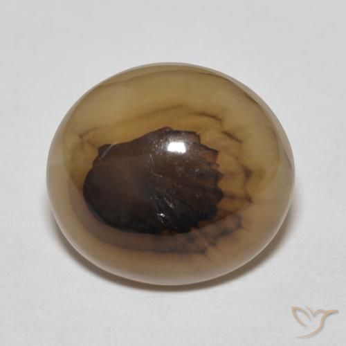 9.70ct Natural Multicolor Agate, Oval, Translucent