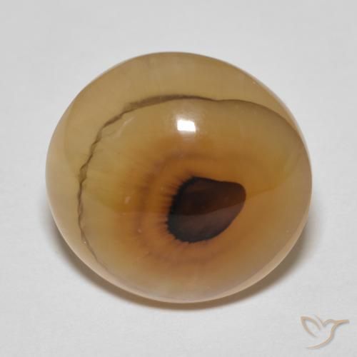 14.89ct Natural Multicolor Agate, Oval, Translucent
