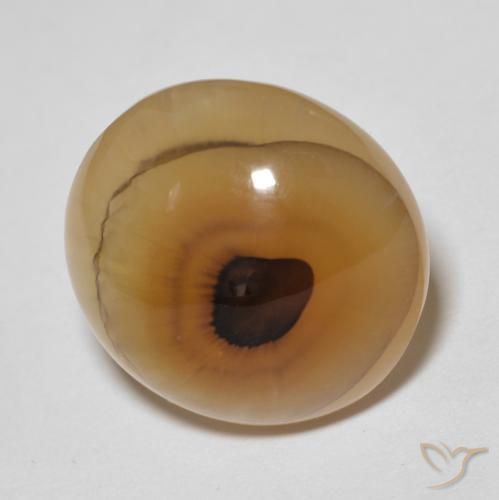 14.89 ct Multicolor Agate Stone, Natural Agate in Oval Cabochon Shape for Sale