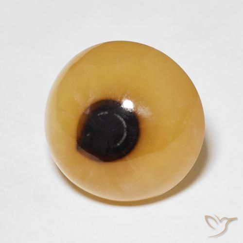 12.47 ct Multicolor Agate Stone, Natural Agate in Round Cabochon Shape for Sale