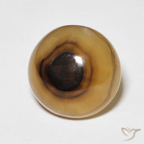 10.40 ct Multicolor Agate Stone, Natural Agate in Round Cabochon Shape for Sale