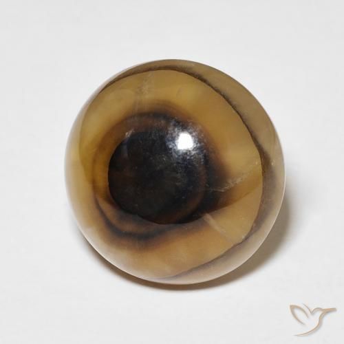 11.72 ct Multicolor Agate Stone, Natural Agate in Round Cabochon Shape for Sale