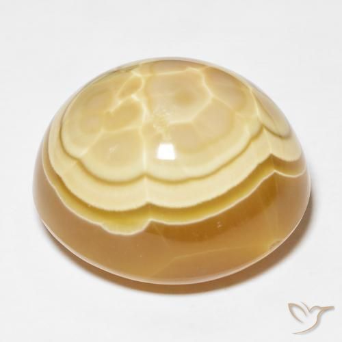 Agate Gemstone in 23.4 x 21.1 mm Size for Sale, Agate Stone in Multicolor Color