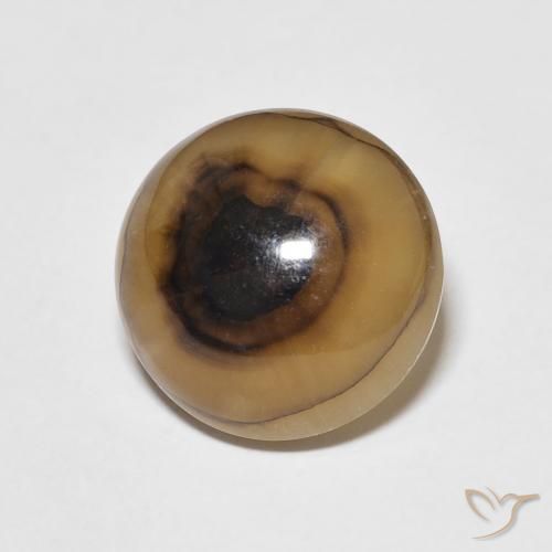 8.00 ct Multicolor Agate Stone, Natural Agate in Round Cabochon Shape for Sale