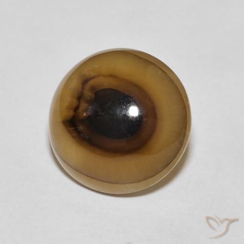 7.04 ct Multicolor Agate Stone, Natural Agate in Round Cabochon Shape for Sale