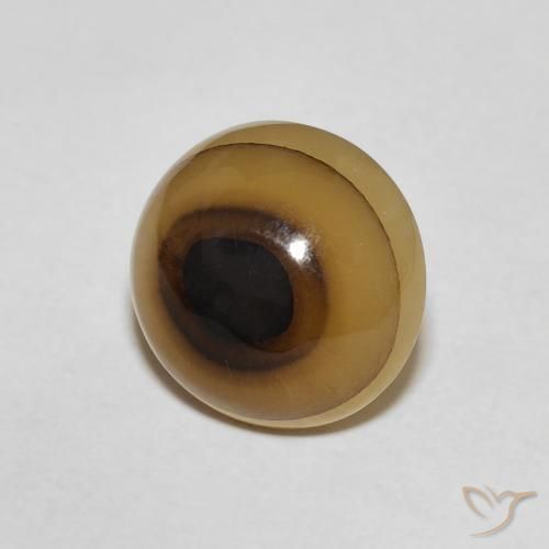 7.21 ct Multicolor Agate Stone, Natural Agate in Oval Cabochon Shape for Sale