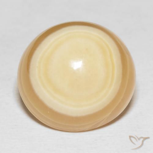 27.8 ct Oval Agate, 18.9 x 17.8 mm From Indonesia, Photo A