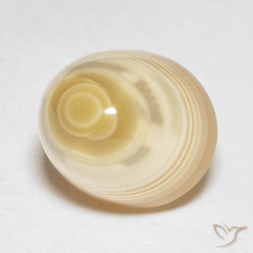 16.65 ct Multicolor Agate Stone, Natural Agate in Round Cabochon Shape for Sale