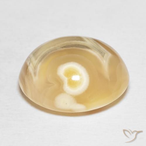 Agate Gemstone in 17.8 x 15.6 mm Size for Sale, Agate Stone in Multicolor Color