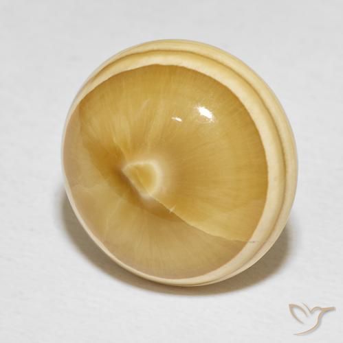19.82 ct Multicolor Agate Stone, Natural Agate in Round Cabochon Shape for Sale
