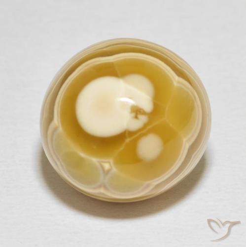 19.86ct Natural Multicolor Agate, Oval, Opaque