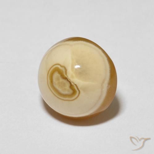 7.82 ct Multicolor Agate Stone, Natural Agate in Round Cabochon Shape for Sale