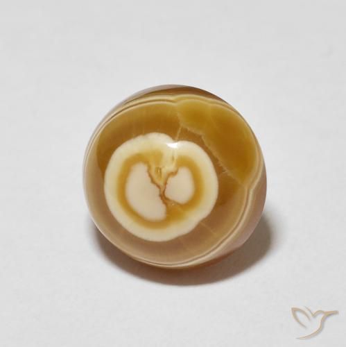 8.27 ct Multicolor Agate Stone, Natural Agate in Round Cabochon Shape for Sale