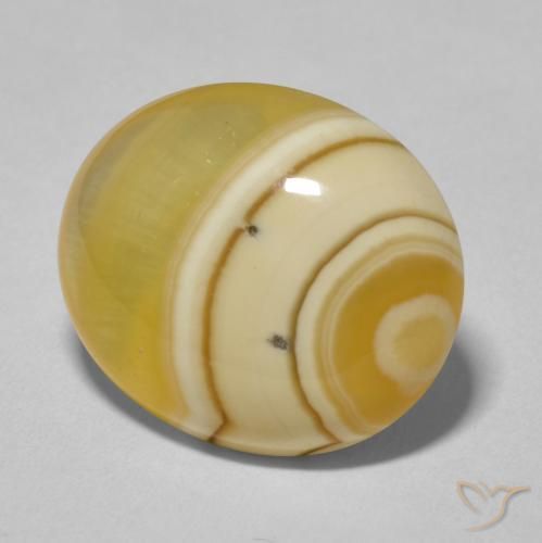 12.25 ct Multicolor Agate Stone, Natural Agate in Oval Cabochon Shape for Sale