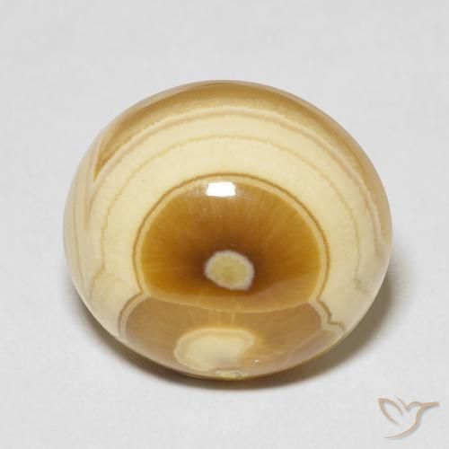 19.18ct Natural Multicolor Agate, Oval, Opaque