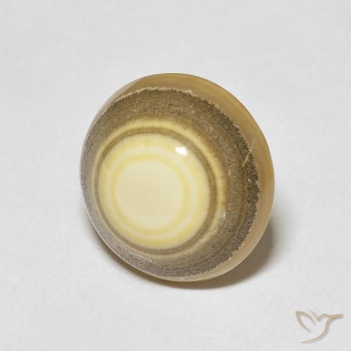 10.03 ct Multicolor Agate Stone, Natural Agate in Round Cabochon Shape for Sale
