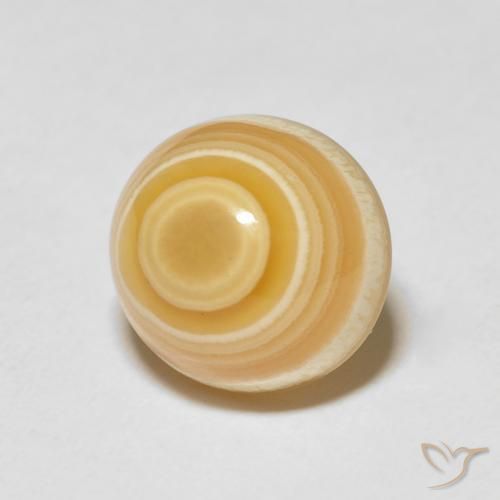 8.87 ct Multicolor Agate Stone, Natural Agate in Oval Cabochon Shape for Sale