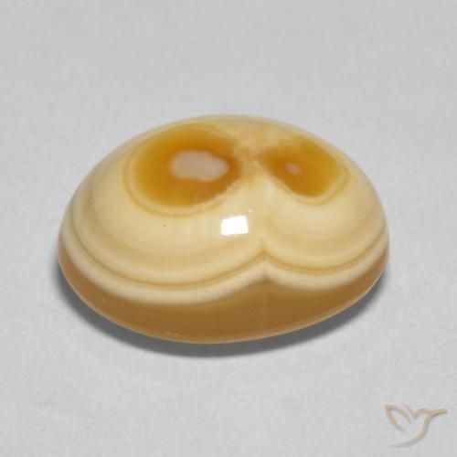 Agate Gemstone in 14 x 11 mm Size for Sale, Agate Stone in Multicolor Color