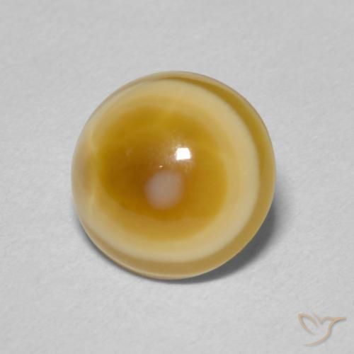 2.38 ct Multicolor Agate Stone, Natural Agate in Round Cabochon Shape for Sale