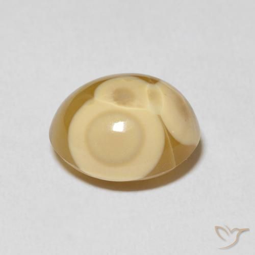 Agate Gemstone in 12.4 x 10.9 mm Size for Sale, Agate Stone in Multicolor Color