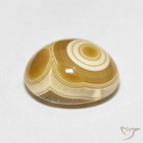 Agate Gemstone in 15.5 x 12.6 mm Size for Sale, Agate Stone in Multicolor Color