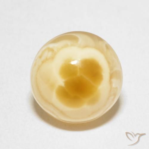 5.40 ct Multicolor Agate Gemstone, Agate Gem in Round Cabochon Shape for Sale.