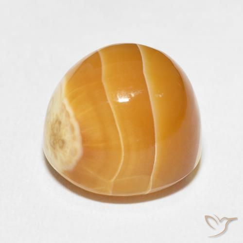 Agate Gemstone in 13.8 x 12.7 mm Size for Sale, Agate Stone in Multicolor Color
