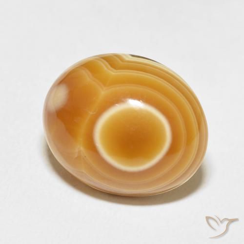 10.98 ct Multicolor Agate Stone, Natural Agate in Oval Cabochon Shape for Sale