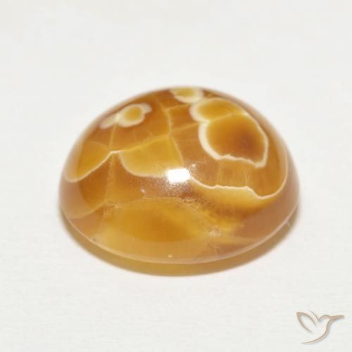 Agate Gemstone in 15.3 x 14.1 mm Size for Sale, Agate Stone in Multicolor Color