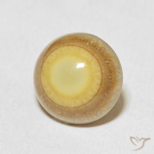 4.88 ct Multicolor Agate Stone, Natural Agate in Round Cabochon Shape for Sale