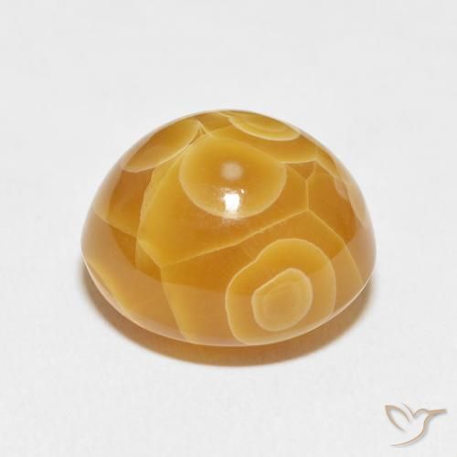 Agate Gemstone in 15.9 x 14.3 mm Size for Sale, Agate Stone in Multicolor Color