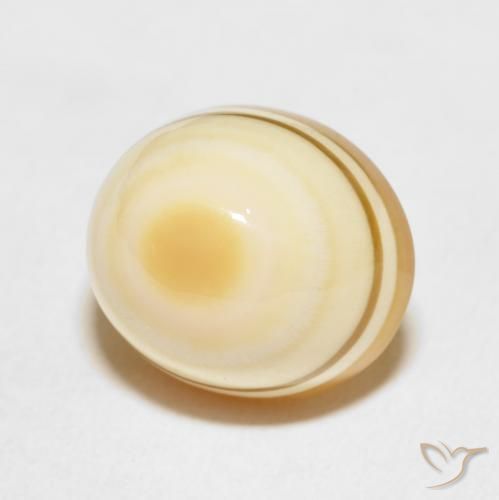 14.97 ct Multicolor Agate Stone, Natural Agate in Oval Cabochon Shape for Sale