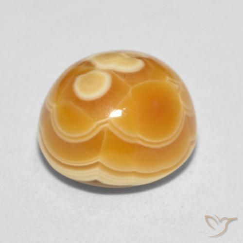 Agate Gemstone in 11.5 x 11 mm Size for Sale, Agate Stone in Multicolor Color