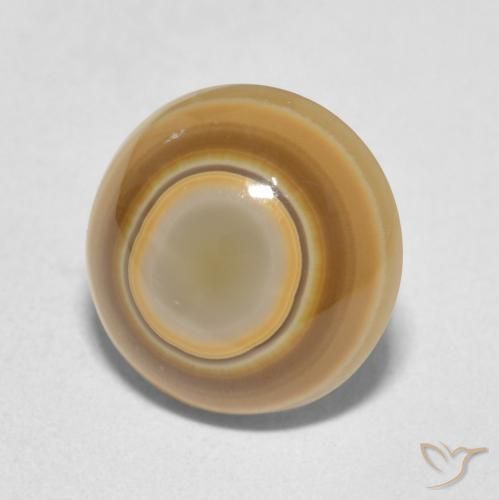 4.89 ct Multicolor Agate Stone, Natural Agate in Round Cabochon Shape for Sale