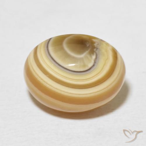 8.72ct Natural Multicolor Agate, Oval, Opaque