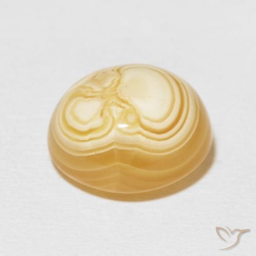 Agate Gemstone in 14.2 x 12.9 mm Size for Sale, Agate Stone in Multicolor Color