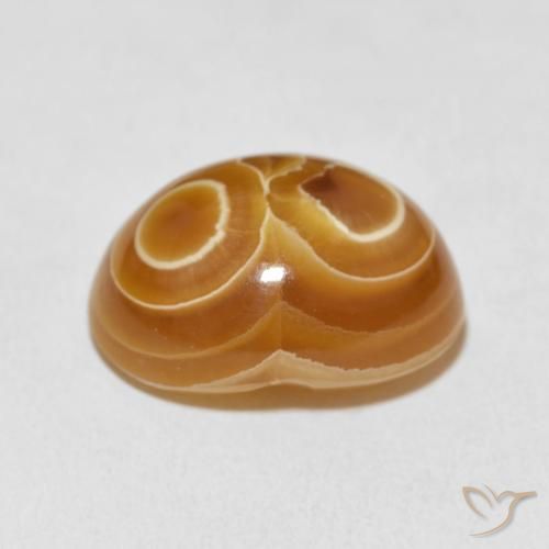 Agate Gemstone in 18.4 x 14.1 mm Size for Sale, Agate Stone in Multicolor Color
