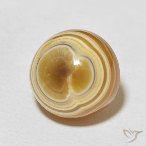 16.93 ct Multicolor Agate Stone, Natural Agate in Round Cabochon Shape for Sale