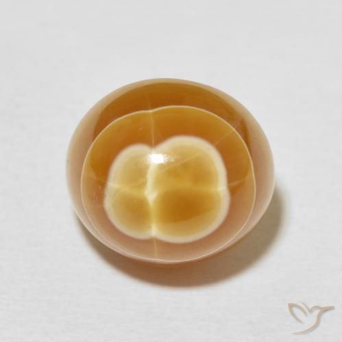 11.30ct Natural Multicolor Agate, Oval, Opaque