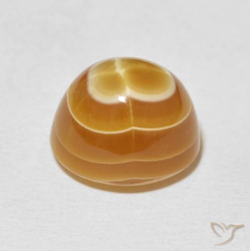 Agate Gemstone in 13.1 x 11.9 mm Size for Sale, Agate Stone in Multicolor Color