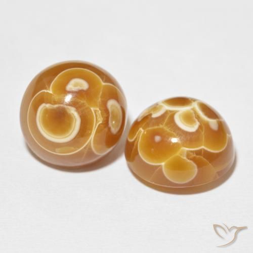 38.31 ctw Multicolor Agate Stones, Natural Agate in Round Cabochon Shape for Sale