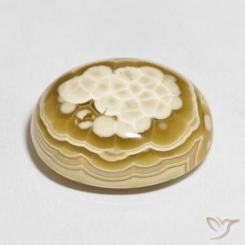 Agate Gemstone in 32.2 x 26.6 mm Size for Sale, Agate Stone in Multicolor Color